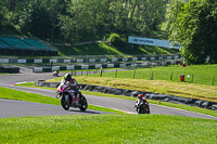 cadwell-no-limits-trackday;cadwell-park;cadwell-park-photographs;cadwell-trackday-photographs;enduro-digital-images;event-digital-images;eventdigitalimages;no-limits-trackdays;peter-wileman-photography;racing-digital-images;trackday-digital-images;trackday-photos